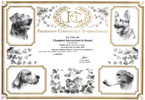 FCI certificate