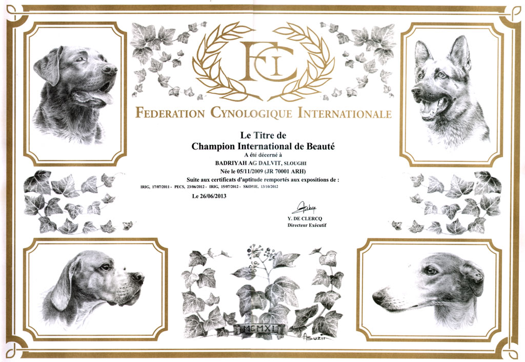 Bermad svinge animation Sloughi-Balkan Kennel | International Champion of Beauty!